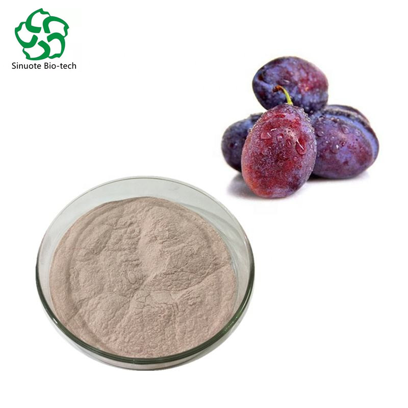 Natural Prune Juice Powder