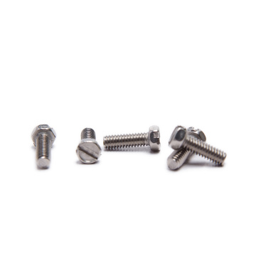 Metric Slotted Hex Head Screws