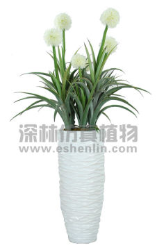 Newest artificial trees Hoya Archboldiana
