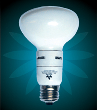 Electrodeless lamp