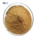 sell Mentha Piperita Peppermint Powder Peppermint Extract