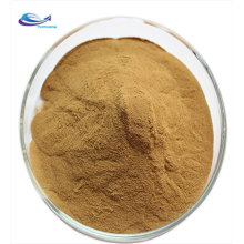 sell Mentha Piperita Peppermint Powder Peppermint Extract