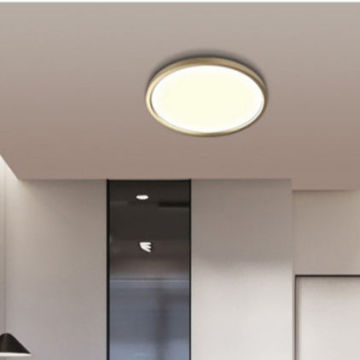 Switch Control LED Ceiling Lights 3000K 4000K 6500K for Living Room