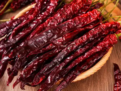 Spicy and authentic Dried chili-Bullet chili pepper