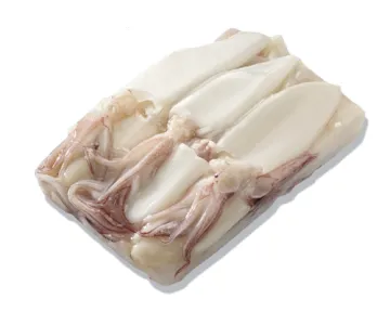 frozen tube and tentacle squid