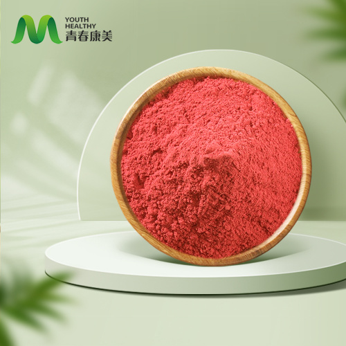 Висококвалитетни органски прах од јагоде