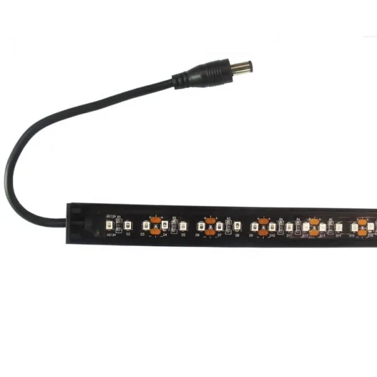 Strawberry New Indoor Plants with 3 Red 1 Blue Enfun Sun LED Grow Strip Light Systems