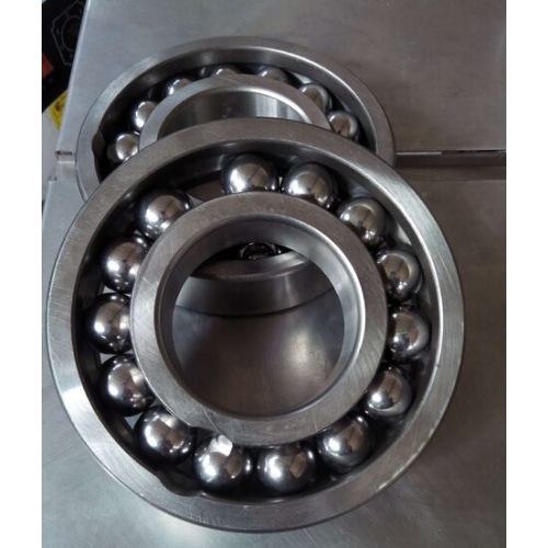 Single Row Deep Groove Ball Bearing (6048)