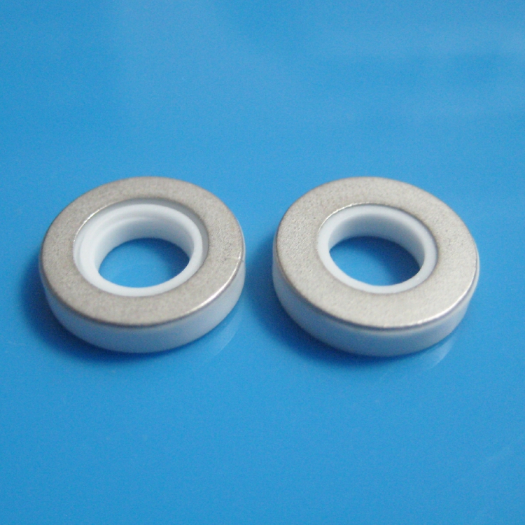 Alumina Metallized Ceramics