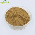 High-Quality Hawthorn Extract