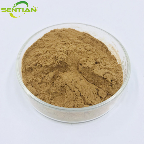 High-Quality Hawthorn Extract