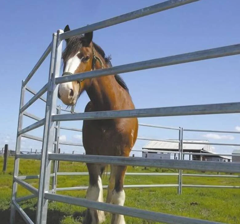 Metal Security Chain Link Livestock Fence Panel Horse Fence Panel Cattle Yard