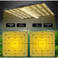 2 Channels Double Switches 1000w Led Grow Light