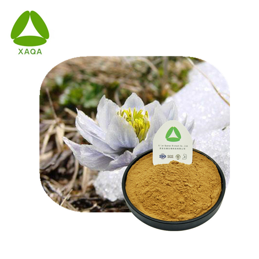 Tianshan Snow Lotus Extract Poeder Vrouwelijke Gezondheidszorg