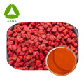 Annatto Seed Extract Powder 10: 1 Colorage alimentaire