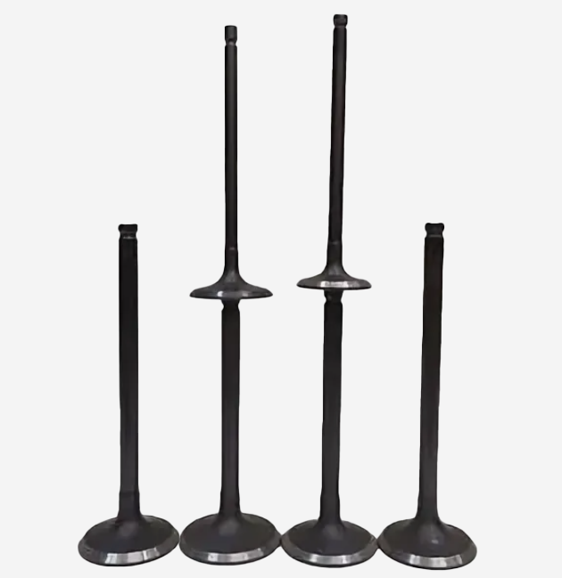 High-Efficiency Intake Valves
