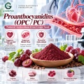 Proantocianidinas OPC 50%–98% Extracto vegetal para formulaciones cosméticas y alimentarias