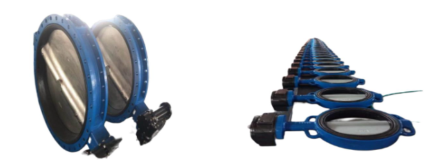 butterfly valve