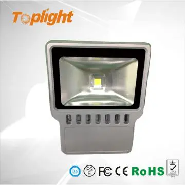 Waterproof LED Light Outdoor Using