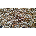 Hạt cà phê xanh Arabica