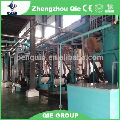 2016 HOT sale rice bran oil extraction machine,rice bran oil press machine