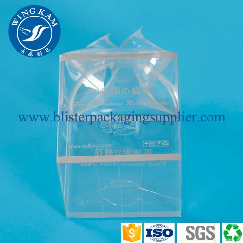 Large Transparent Clear PET Plastic Packaging