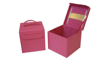 Cosmetic case