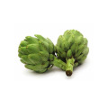 Artichoke Extract, Globe Artichoke Leaf Extract Powder