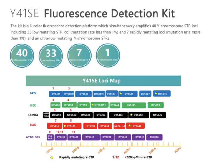 Y 41se Str Detection Kit