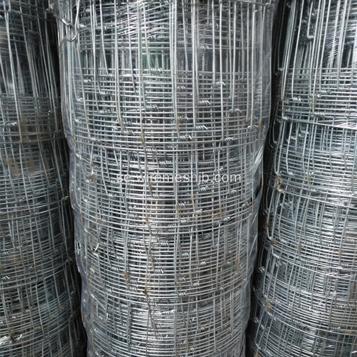 Hot Dipped Galvanized Field Wire Fäktning