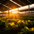 Invernadero agrícola fotovoltaico para cultivo interior