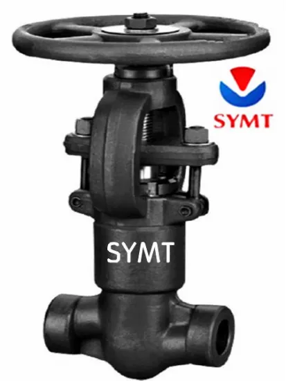 pressure sealing globe valve