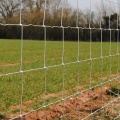 Livestock Panels Hog Dire hekhekrunne werfpan