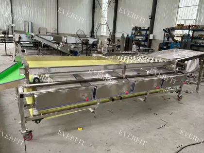 Date Palm Processing: Red Dates Grading Machine