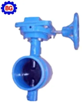 Grooved Type Butterfly Valve