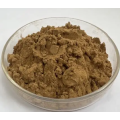 Herb Extract Herba Taraxaci Extract