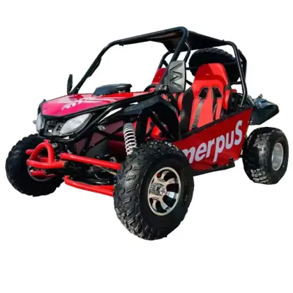 200cc Adult Off-Road Go Kart with 4 Wheels and 2 Seaters