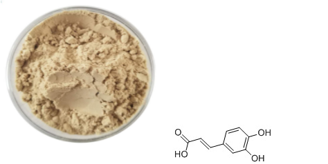 Caffeic Acid