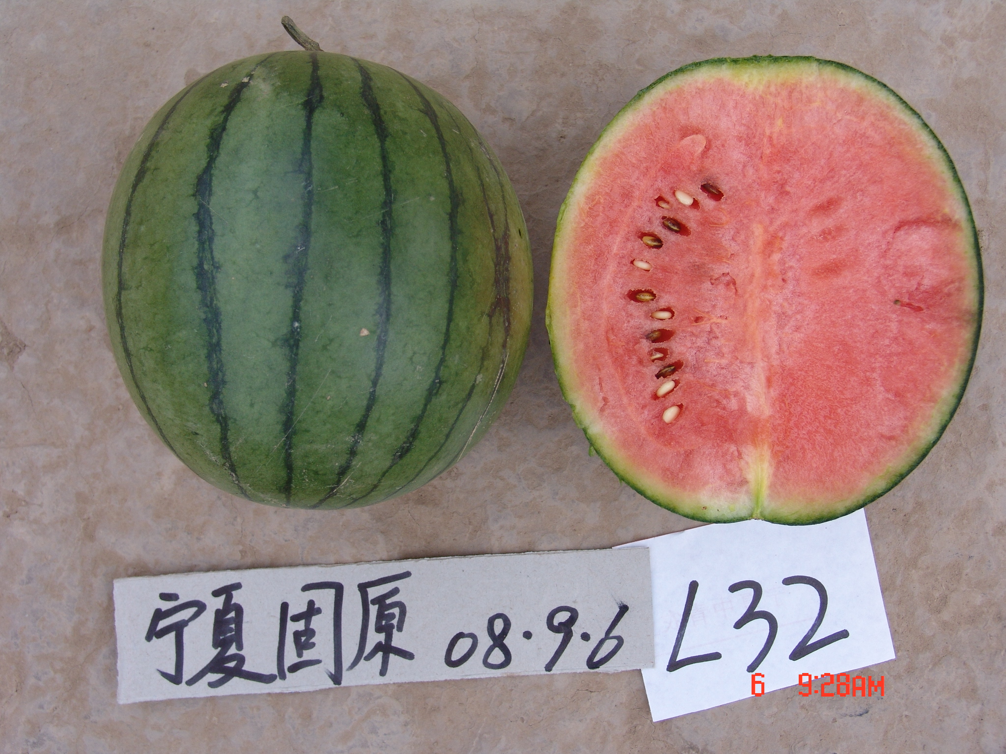 High Quality Watermelon Seeds