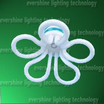 2013 Plum Blossom Energy Saving Lamp