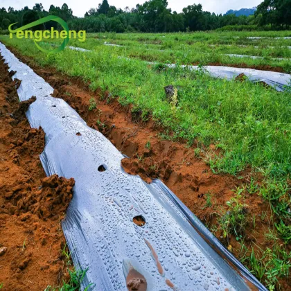 LDPE plastic mulching film for agriculture planting