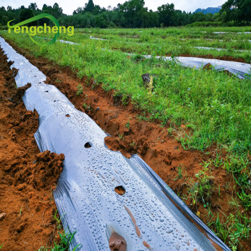 LDPE plastic mulching film for agriculture planting