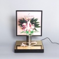 APEX Custom Led Illumination Desktop Makeup Display