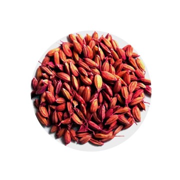 Chuột Poison Bromadiolone Rice Bait