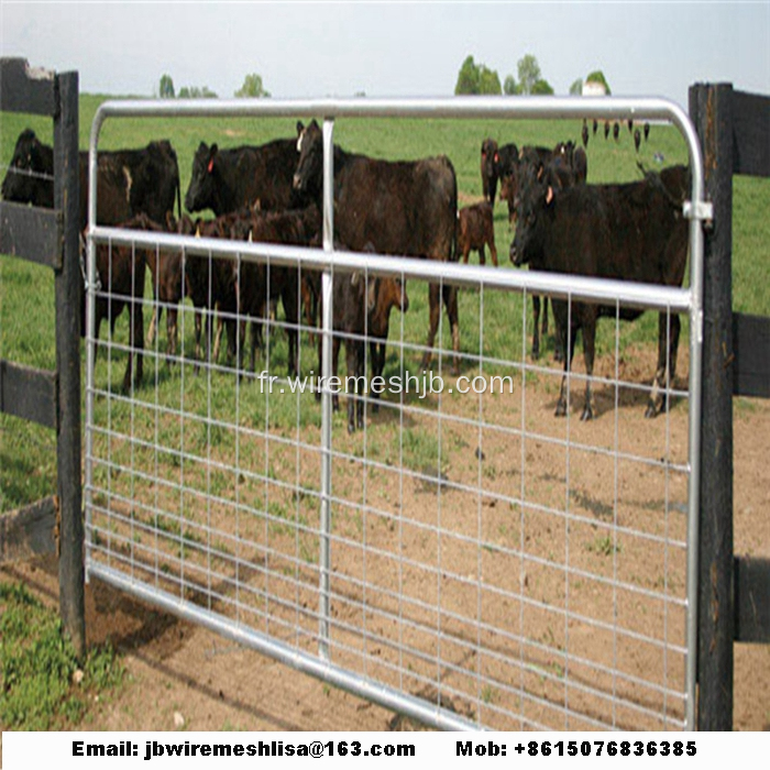 Porte de ferme australienne galvanisée à chaud