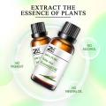 Essential Oil 100% Pure Aromatherapy