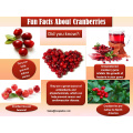 Hi-Q Cranberry Fruit Powder