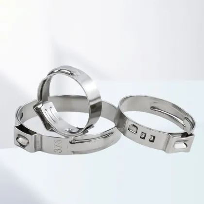 Stainless Steel Hose Clamps and Toggle Clamp Fasteners