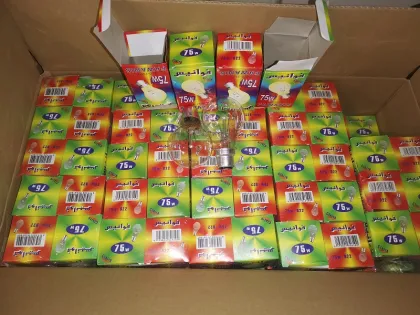 220V Round Clear Incandescent Light Bulbs: 40W-500W E27 B22 General Lighting