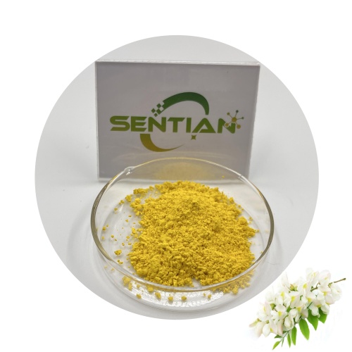isoquercetin supplement Sophora Japonica Extract